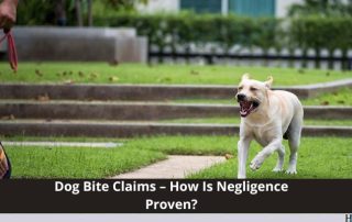 Hildebrand & Wilson, LLC in Pearland, Texas - Image of the blog for Dog Bite claims