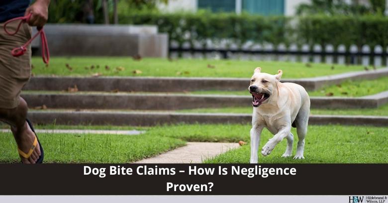 Hildebrand & Wilson, LLP in Pearland, Texas - Image of the blog for Dog Bite claims